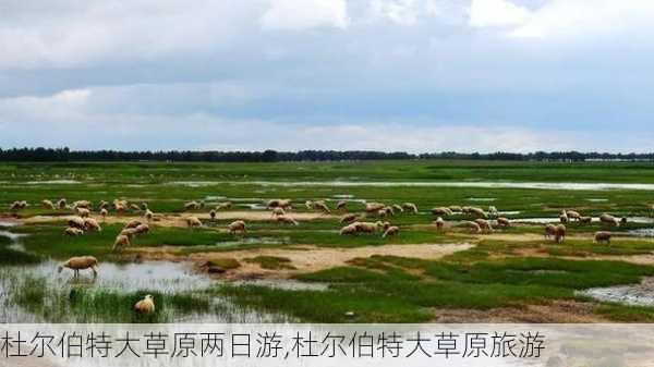 杜尔伯特大草原两日游,杜尔伯特大草原旅游