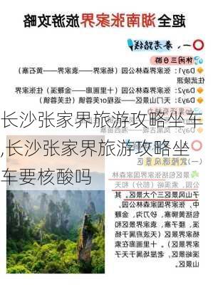 长沙张家界旅游攻略坐车,长沙张家界旅游攻略坐车要核酸吗