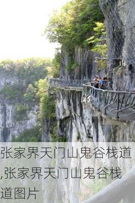 张家界天门山鬼谷栈道,张家界天门山鬼谷栈道图片