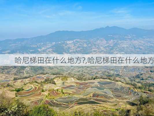 哈尼梯田在什么地方?,哈尼梯田在什么地方