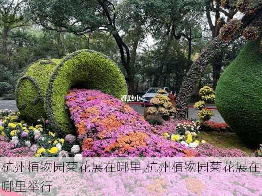 杭州植物园菊花展在哪里,杭州植物园菊花展在哪里举行