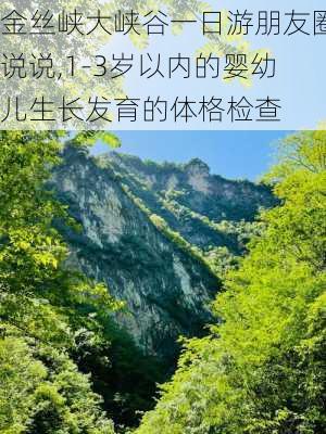 金丝峡大峡谷一日游朋友圈说说,1-3岁以内的婴幼儿生长发育的体格检查