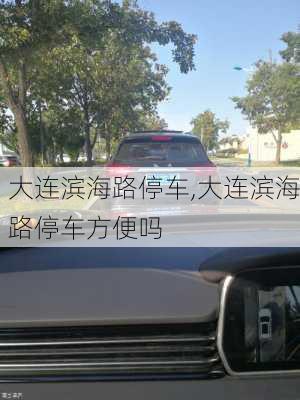 大连滨海路停车,大连滨海路停车方便吗