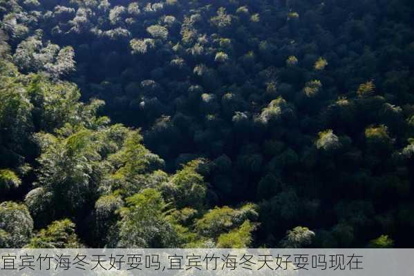 宜宾竹海冬天好耍吗,宜宾竹海冬天好耍吗现在