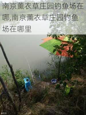 南京薰衣草庄园钓鱼场在哪,南京薰衣草庄园钓鱼场在哪里