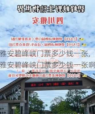 雅安碧峰峡门票多少钱一张,雅安碧峰峡门票多少钱一张啊