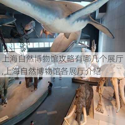 上海自然博物馆攻略有哪几个展厅,上海自然博物馆各展厅介绍