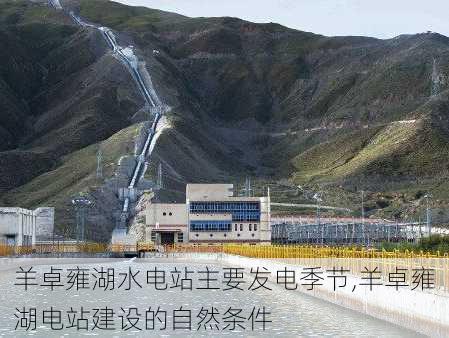 羊卓雍湖水电站主要发电季节,羊卓雍湖电站建设的自然条件