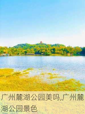 广州麓湖公园美吗,广州麓湖公园景色