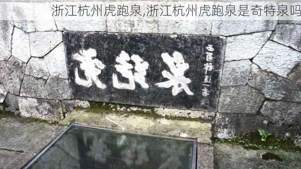 浙江杭州虎跑泉,浙江杭州虎跑泉是奇特泉吗