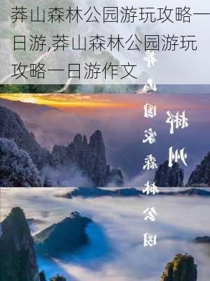 莽山森林公园游玩攻略一日游,莽山森林公园游玩攻略一日游作文