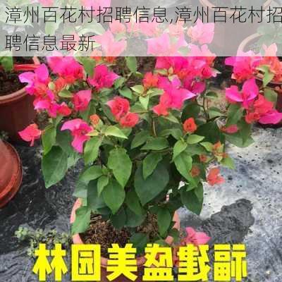 漳州百花村招聘信息,漳州百花村招聘信息最新