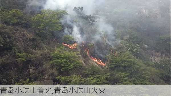 青岛小珠山着火,青岛小珠山火灾