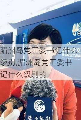 湄洲岛党工委书记什么级别,湄洲岛党工委书记什么级别的