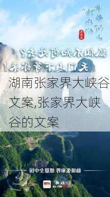 湖南张家界大峡谷文案,张家界大峡谷的文案