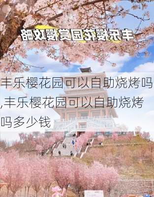 丰乐樱花园可以自助烧烤吗,丰乐樱花园可以自助烧烤吗多少钱