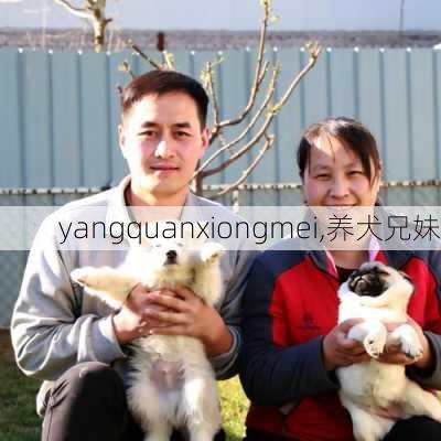 yangquanxiongmei,养犬兄妹