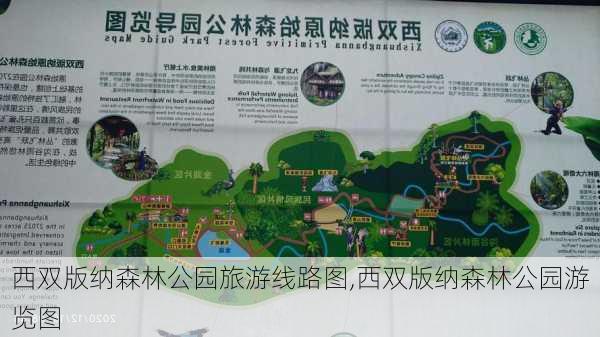 西双版纳森林公园旅游线路图,西双版纳森林公园游览图