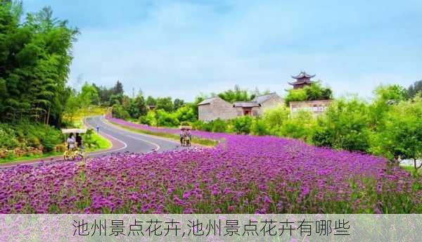 池州景点花卉,池州景点花卉有哪些