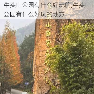 牛头山公园有什么好玩的,牛头山公园有什么好玩的地方