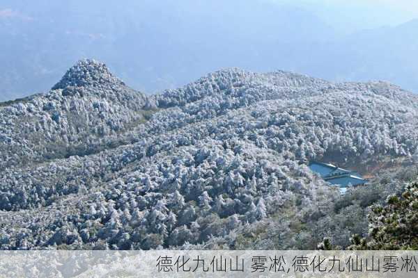 德化九仙山 雾凇,德化九仙山雾凇