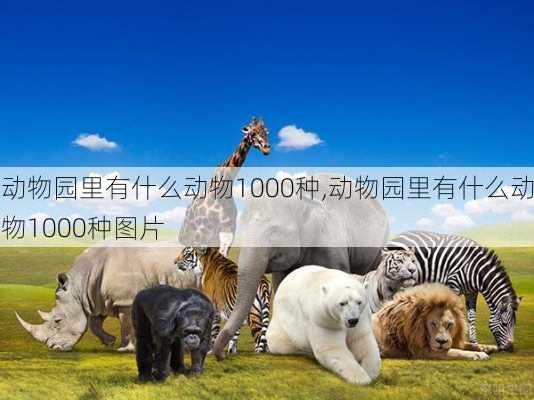 动物园里有什么动物1000种,动物园里有什么动物1000种图片