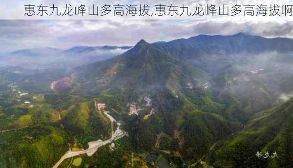 惠东九龙峰山多高海拔,惠东九龙峰山多高海拔啊