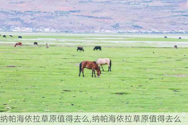 纳帕海依拉草原值得去么,纳帕海依拉草原值得去么