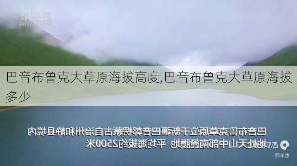 巴音布鲁克大草原海拔高度,巴音布鲁克大草原海拔多少