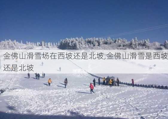 金佛山滑雪场在西坡还是北坡,金佛山滑雪是西坡还是北坡