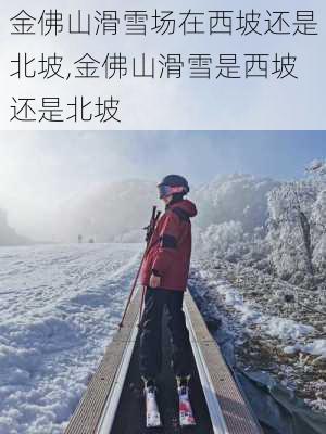 金佛山滑雪场在西坡还是北坡,金佛山滑雪是西坡还是北坡