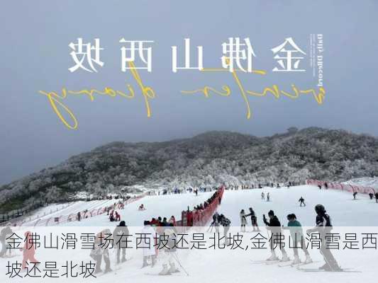 金佛山滑雪场在西坡还是北坡,金佛山滑雪是西坡还是北坡