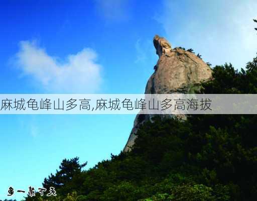 麻城龟峰山多高,麻城龟峰山多高海拔