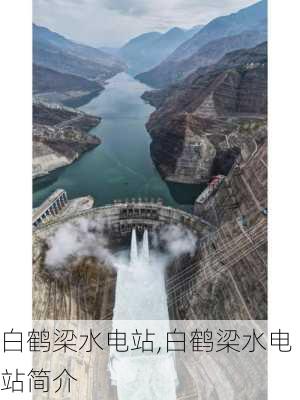 白鹤梁水电站,白鹤梁水电站简介