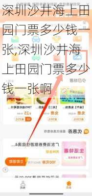 深圳沙井海上田园门票多少钱一张,深圳沙井海上田园门票多少钱一张啊