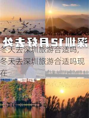 冬天去深圳旅游合适吗,冬天去深圳旅游合适吗现在