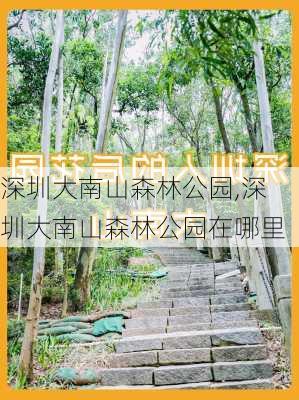 深圳大南山森林公园,深圳大南山森林公园在哪里