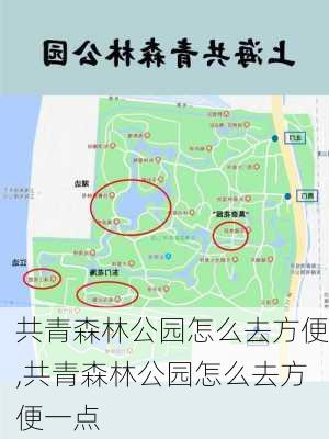 共青森林公园怎么去方便,共青森林公园怎么去方便一点