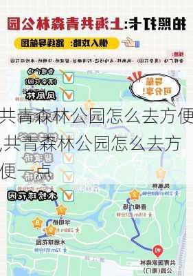 共青森林公园怎么去方便,共青森林公园怎么去方便一点