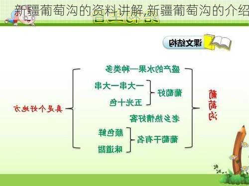 新疆葡萄沟的资料讲解,新疆葡萄沟的介绍