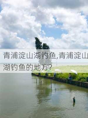 青浦淀山湖钓鱼,青浦淀山湖钓鱼的地方?