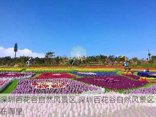 深圳百花谷自然风景区,深圳百花谷自然风景区在哪里