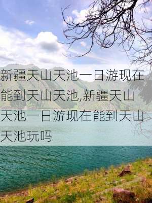 新疆天山天池一日游现在能到天山天池,新疆天山天池一日游现在能到天山天池玩吗