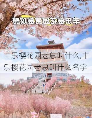 丰乐樱花园老总叫什么,丰乐樱花园老总叫什么名字