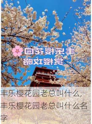 丰乐樱花园老总叫什么,丰乐樱花园老总叫什么名字