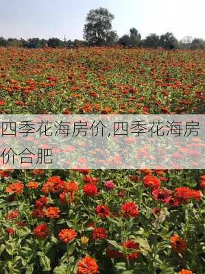 四季花海房价,四季花海房价合肥