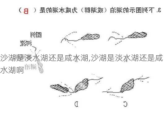 沙湖是淡水湖还是咸水湖,沙湖是淡水湖还是咸水湖啊