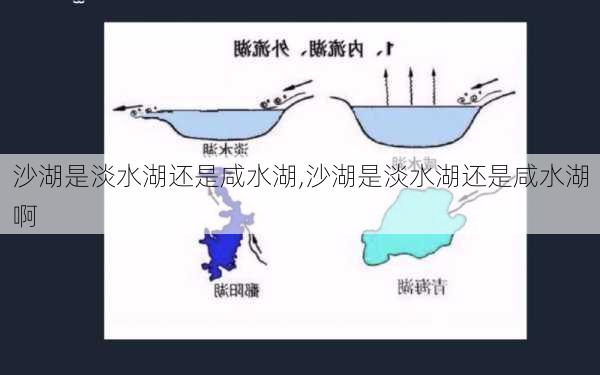 沙湖是淡水湖还是咸水湖,沙湖是淡水湖还是咸水湖啊