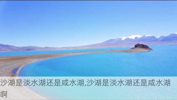 沙湖是淡水湖还是咸水湖,沙湖是淡水湖还是咸水湖啊