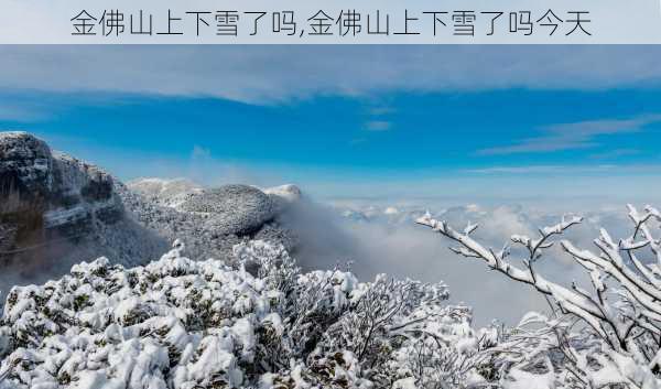 金佛山上下雪了吗,金佛山上下雪了吗今天